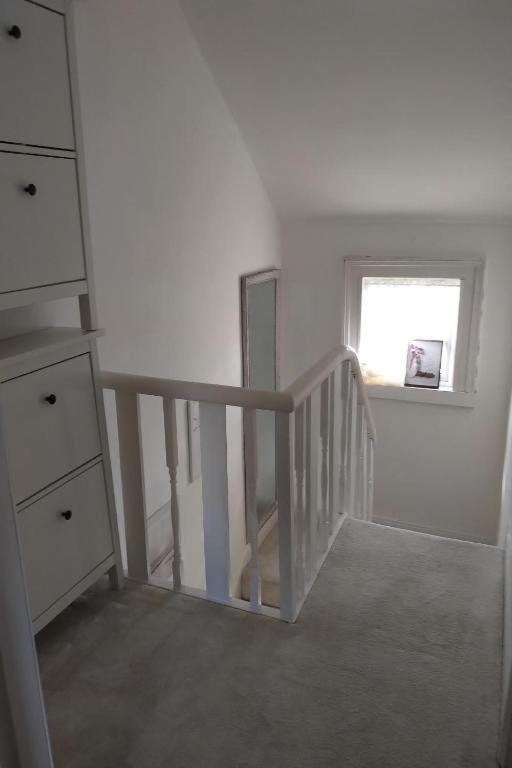 Aunty Katie'S House, Ni Tourist Board Certified With Free Continental Breakfast Lejlighed Belfast Eksteriør billede